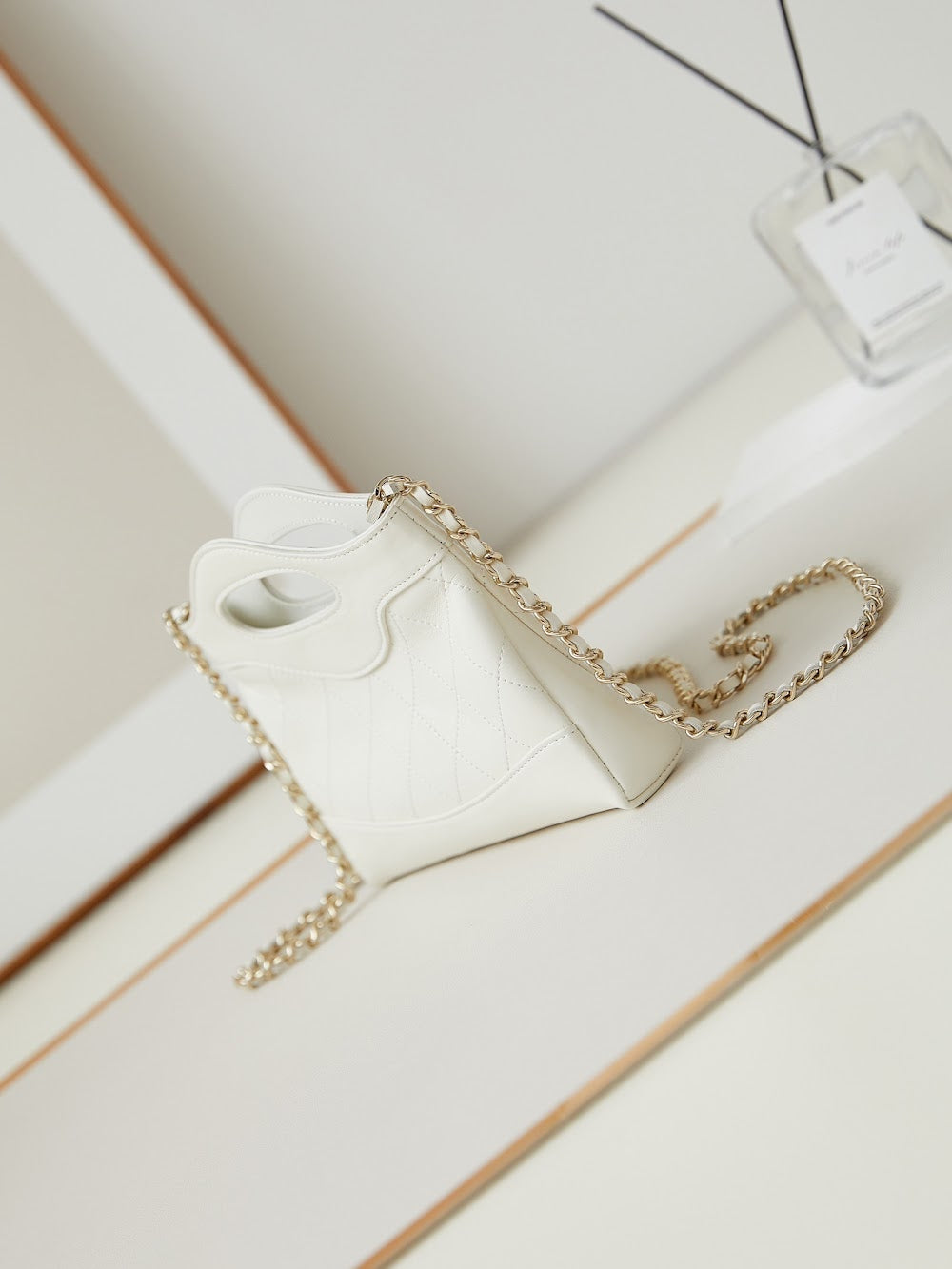 new-designer-premium-bags-nm10175