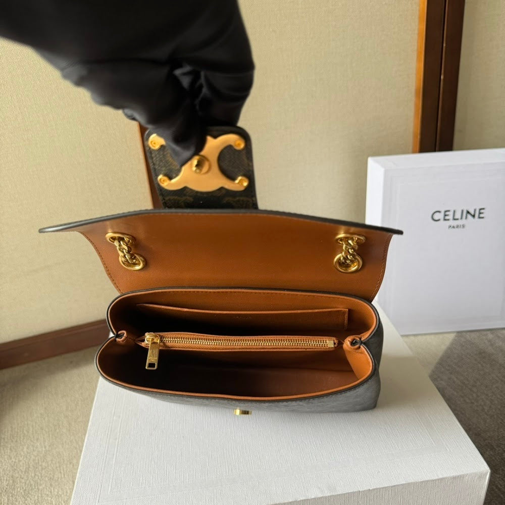 Dragons Bags Celine Luxury Bag --112202