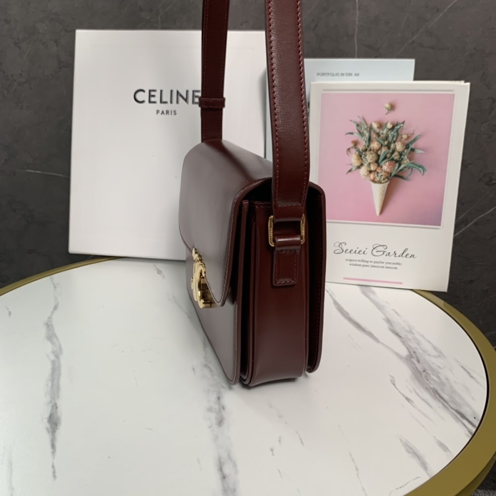 Dragons Bags Celine Luxury Bag --111993