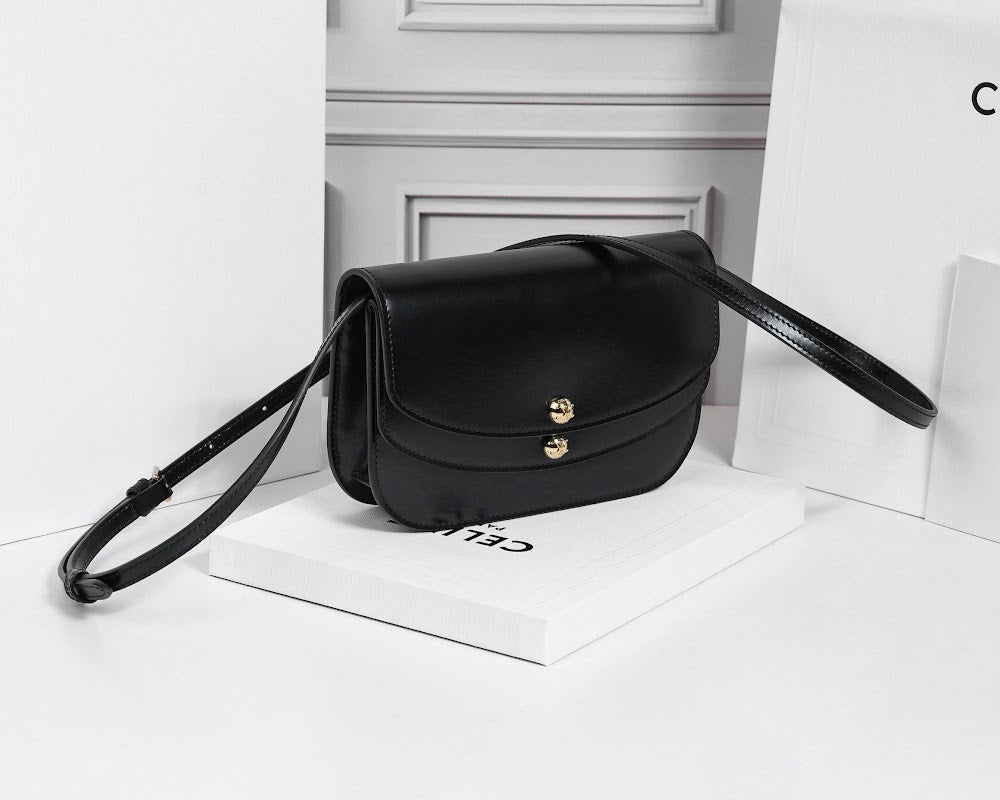 Dragons Bags Celine Luxury Bag --112594