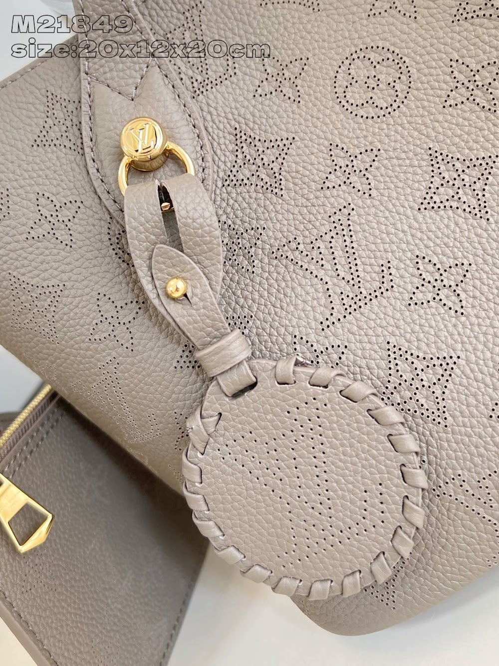 Dragons Bags ln Luxury Bag --96873