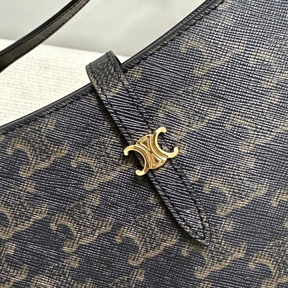 Dragons Bags Celine Luxury Bag --112002