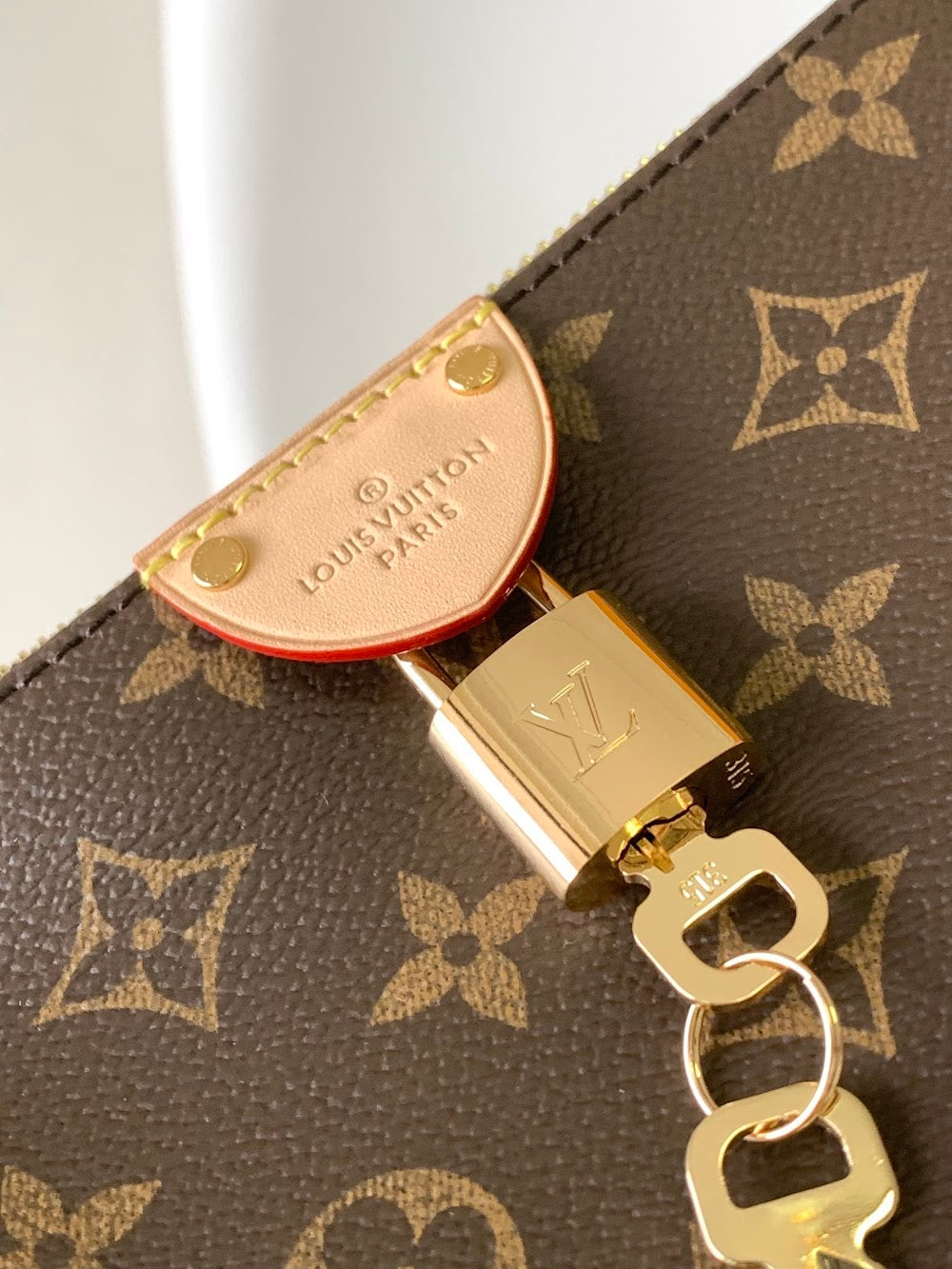 Dragons Bags LVn Luxury Bag --80971