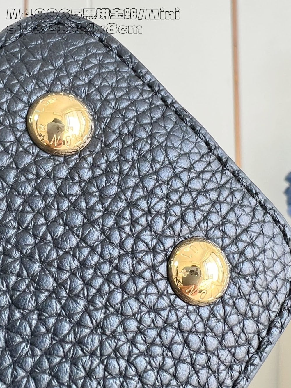 Dragons Bags ln Luxury Bag --95901