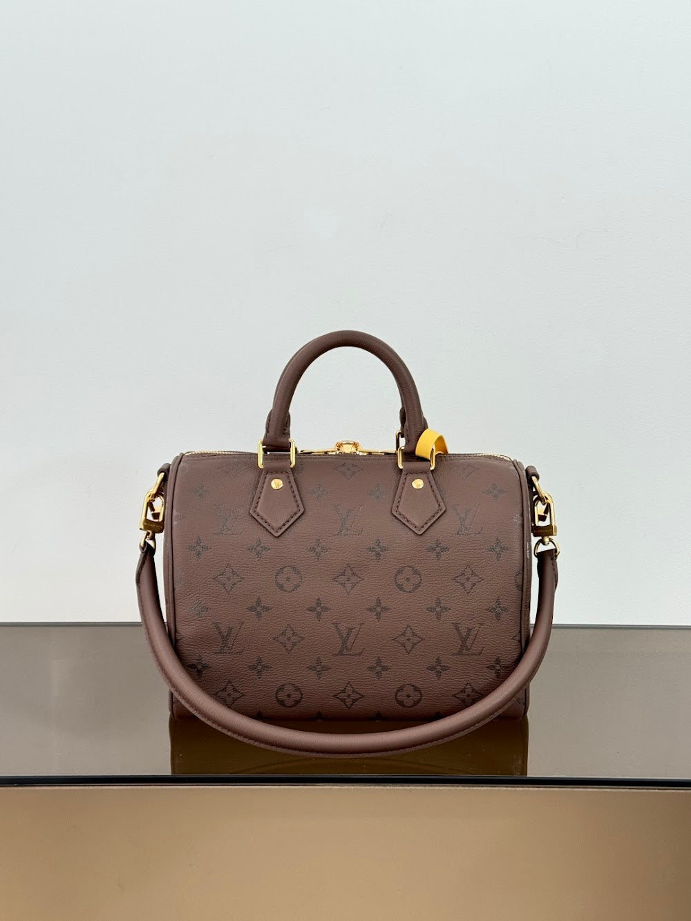Dragons Bags ln Luxury Bag --96225