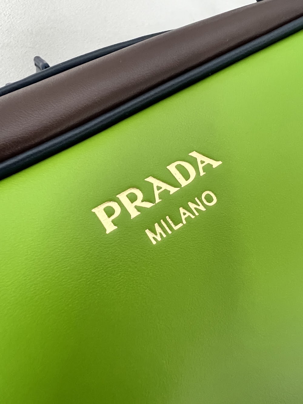 Dragons Bags Pradn Luxury Bag --102393