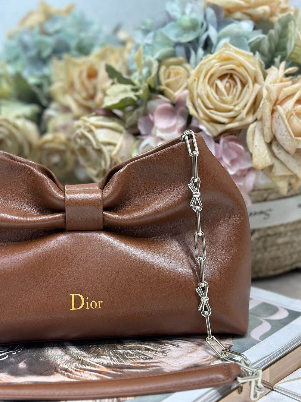Dragons BagsDiorn Luxury Bag --115295
