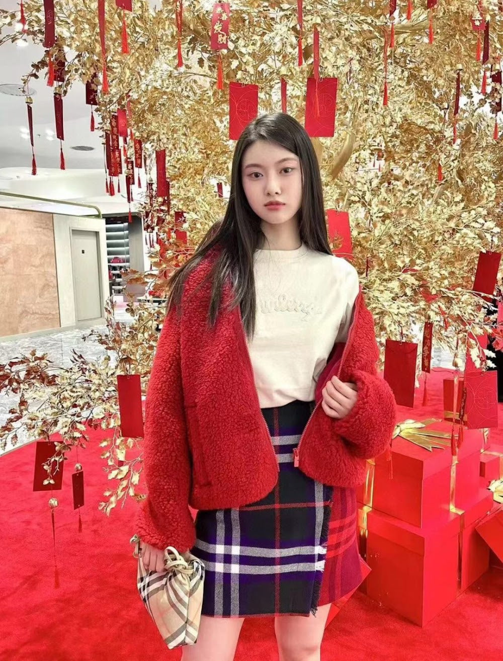 Dragons Bags Burberryn Luxury Bag --93087