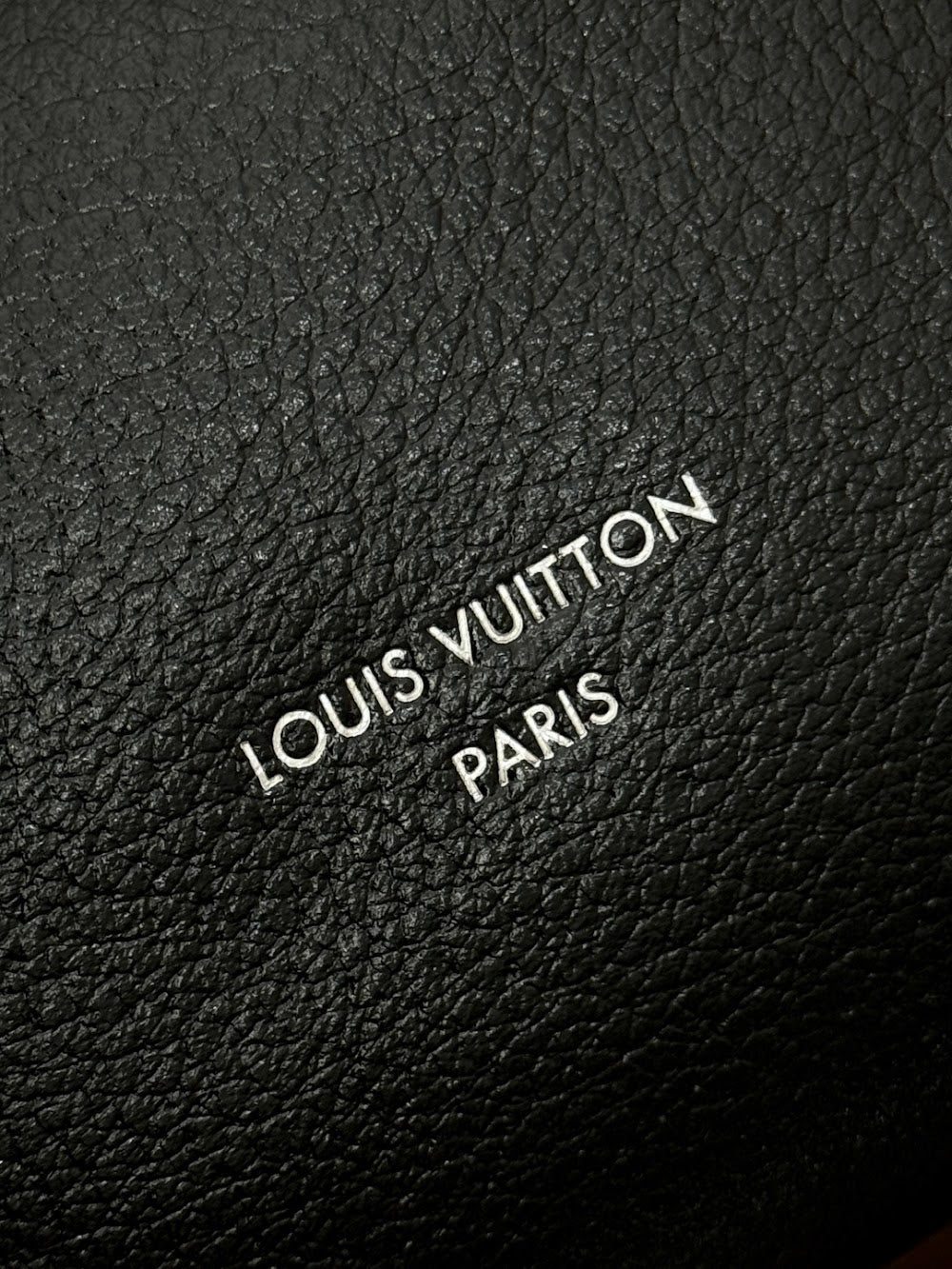 Dragons Bags ln Luxury Bag --96298