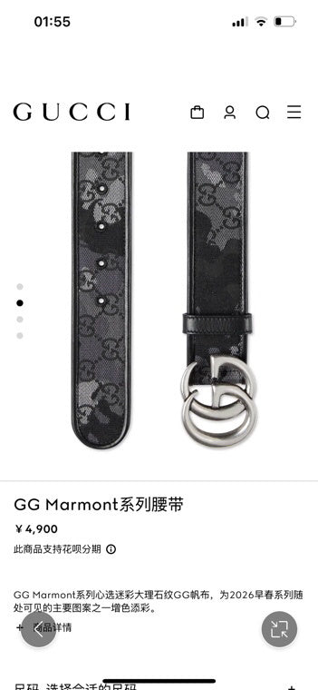 Dragons Bags Guccin Luxury Belt --105718