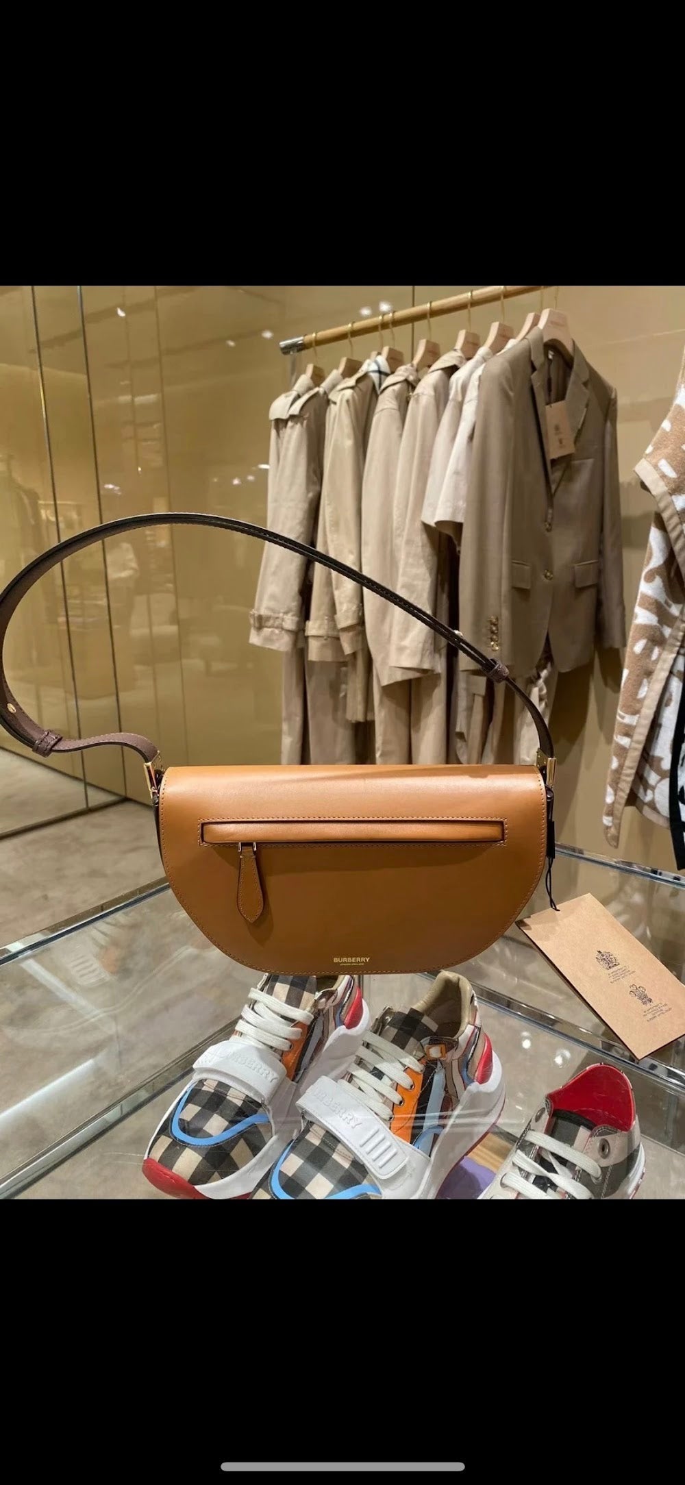 Dragons Bags Burberryn Luxury Bag --91674