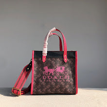 new-luxury-designer-bags-nm6364
