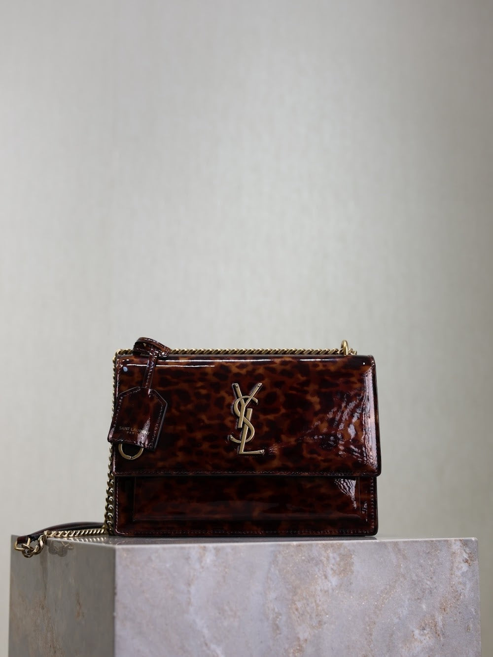Dragons Bags YSLn Luxury Bag --119669