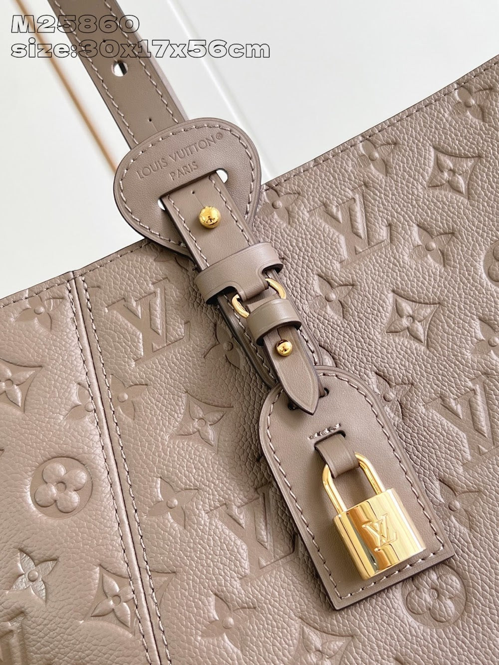 Dragons Bags ln Luxury Bag --96865