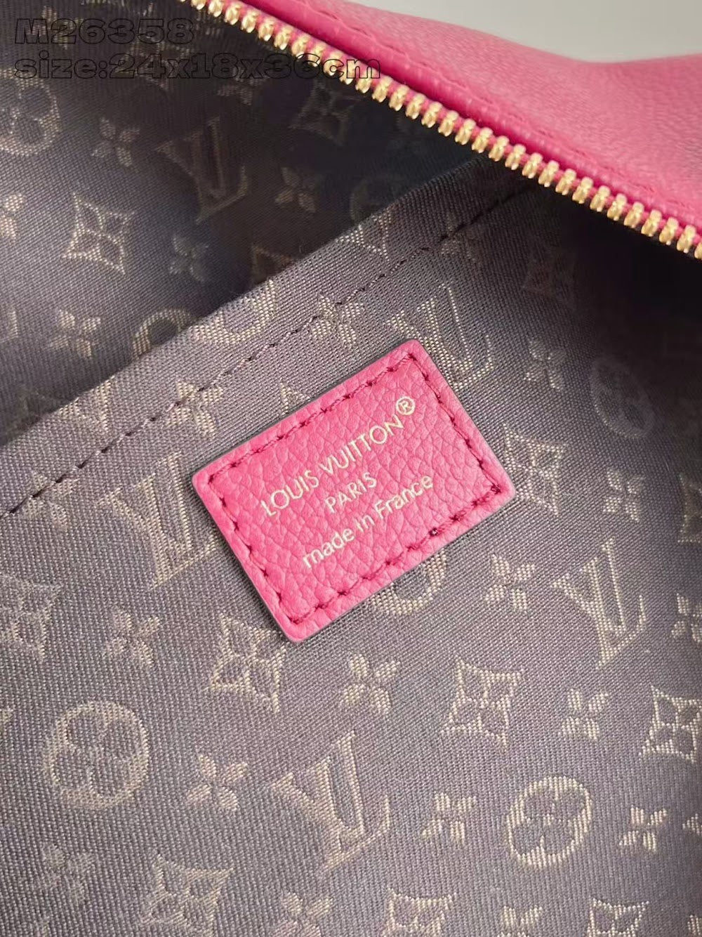 Dragons Bags ln Luxury Bag --95884