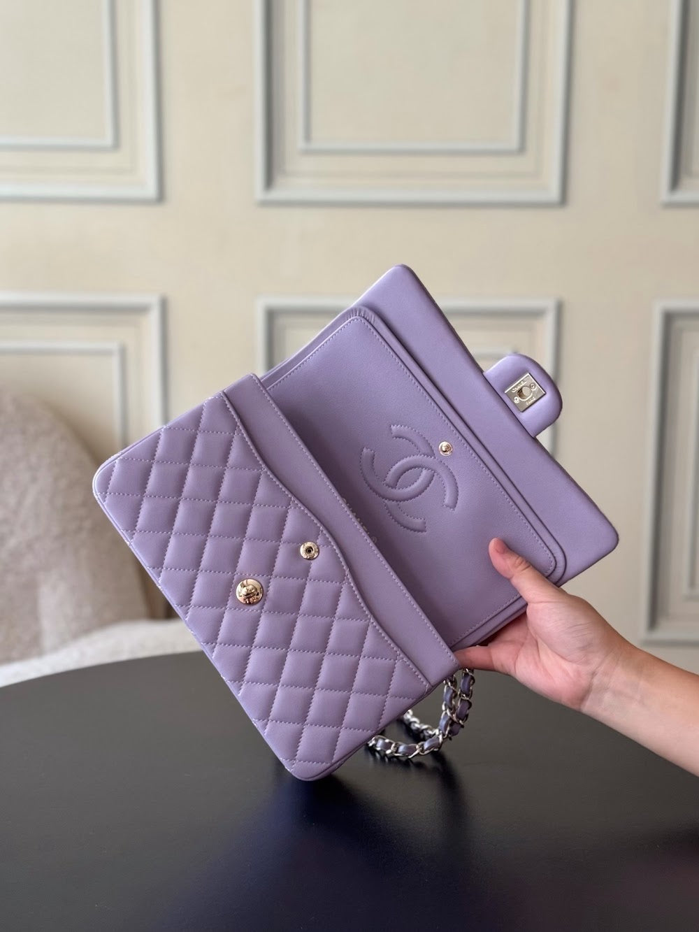 Dragons Bags CHn Luxury Bag --113008