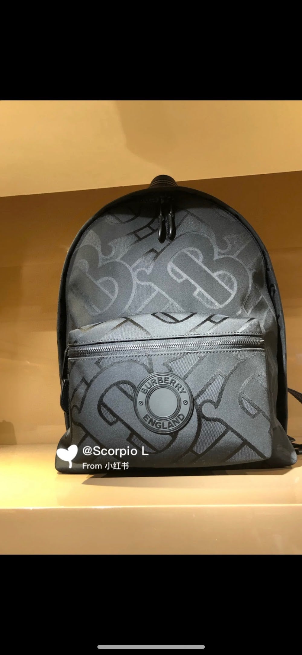 Dragons Bags Burberryn Luxury Bag --92545