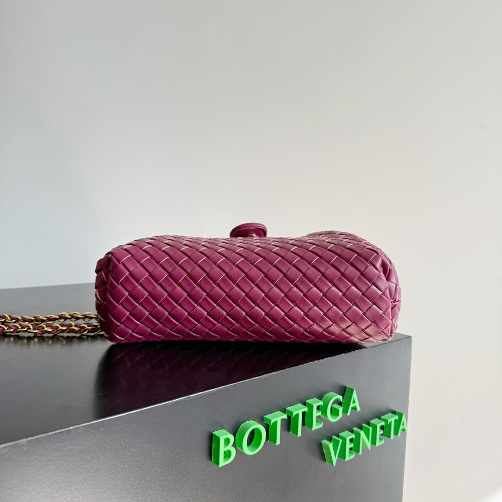 Dragons Bags Bottegan Luxury Bag --91263