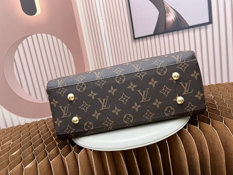 Dragons Bags LVn Luxury Bag --80367