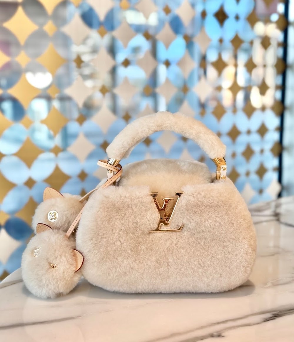 Dragons Bags ln Luxury Bag --95903