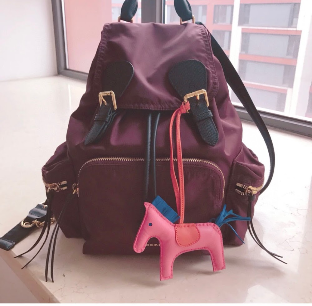 Dragons Bags Burberryn Luxury Bag --91754