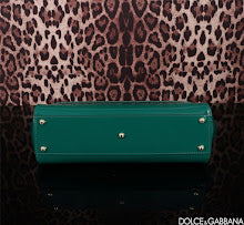new-elite-designer-bags-nm6967
