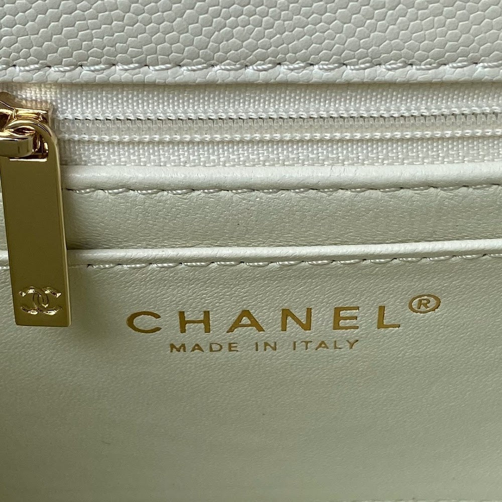 new-luxury-designer-bags-nm10061