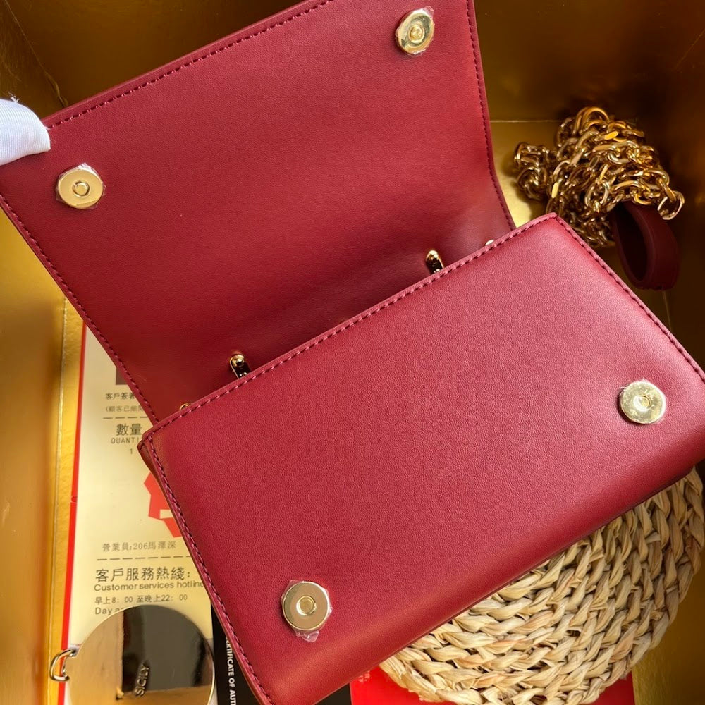 Dragons Bags DGn Luxury Bag --93786