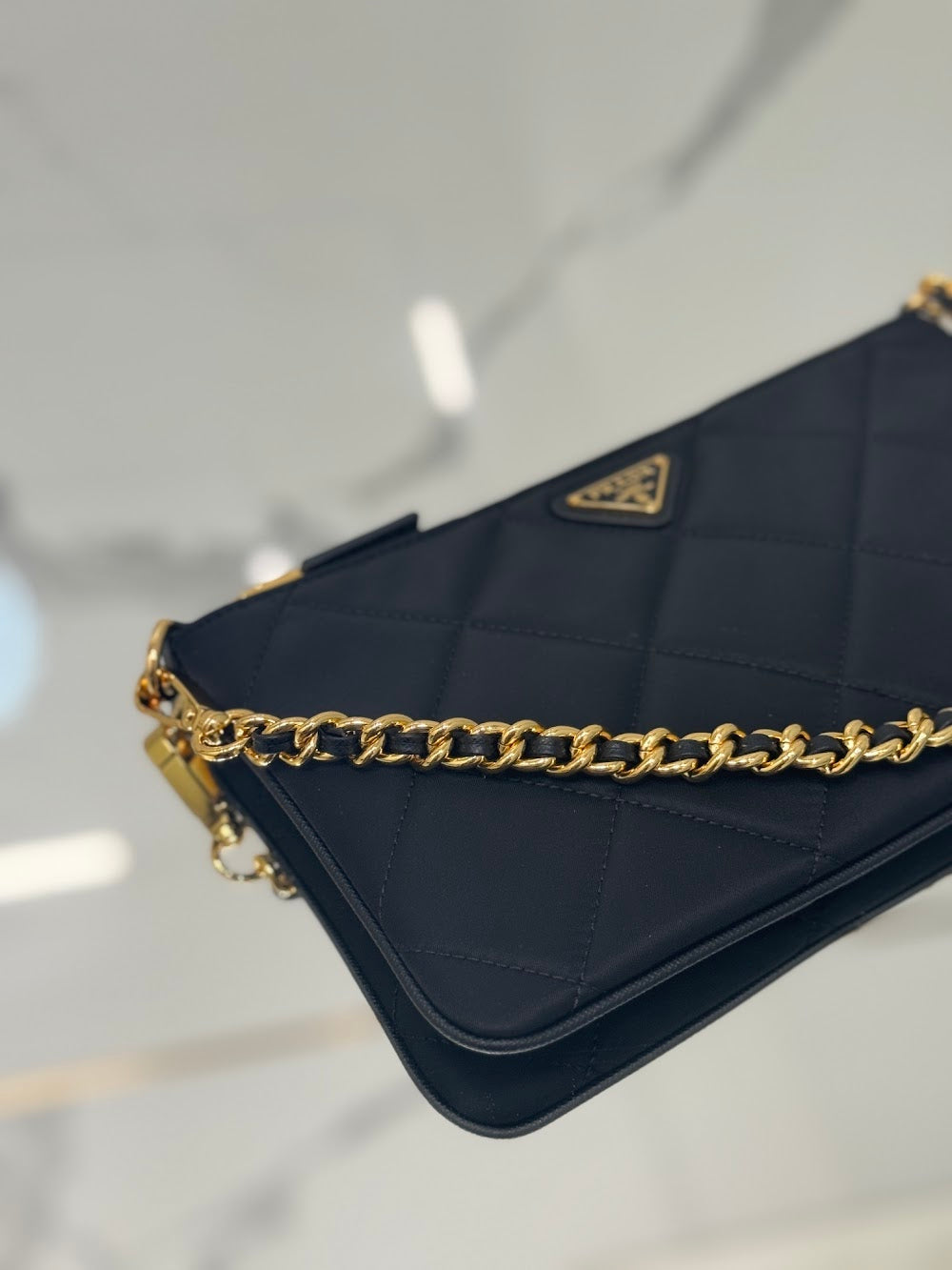 Dragons Bags Pradn Luxury Bag --102756