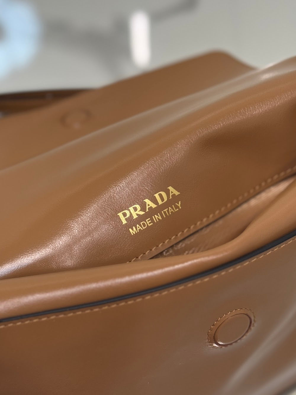 Dragons Bags Pradn Luxury Bag --102877