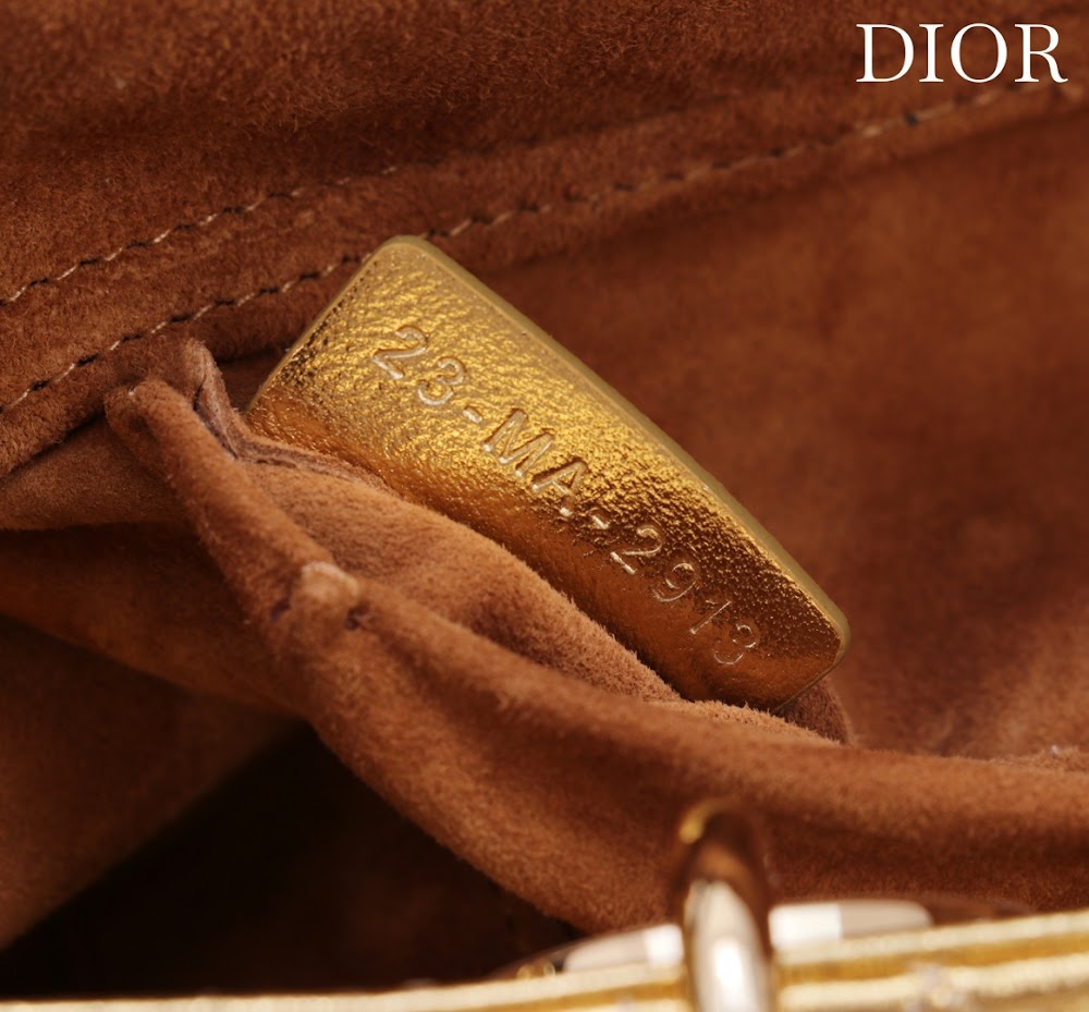 Dragons BagsDiorn Luxury Bag --114717