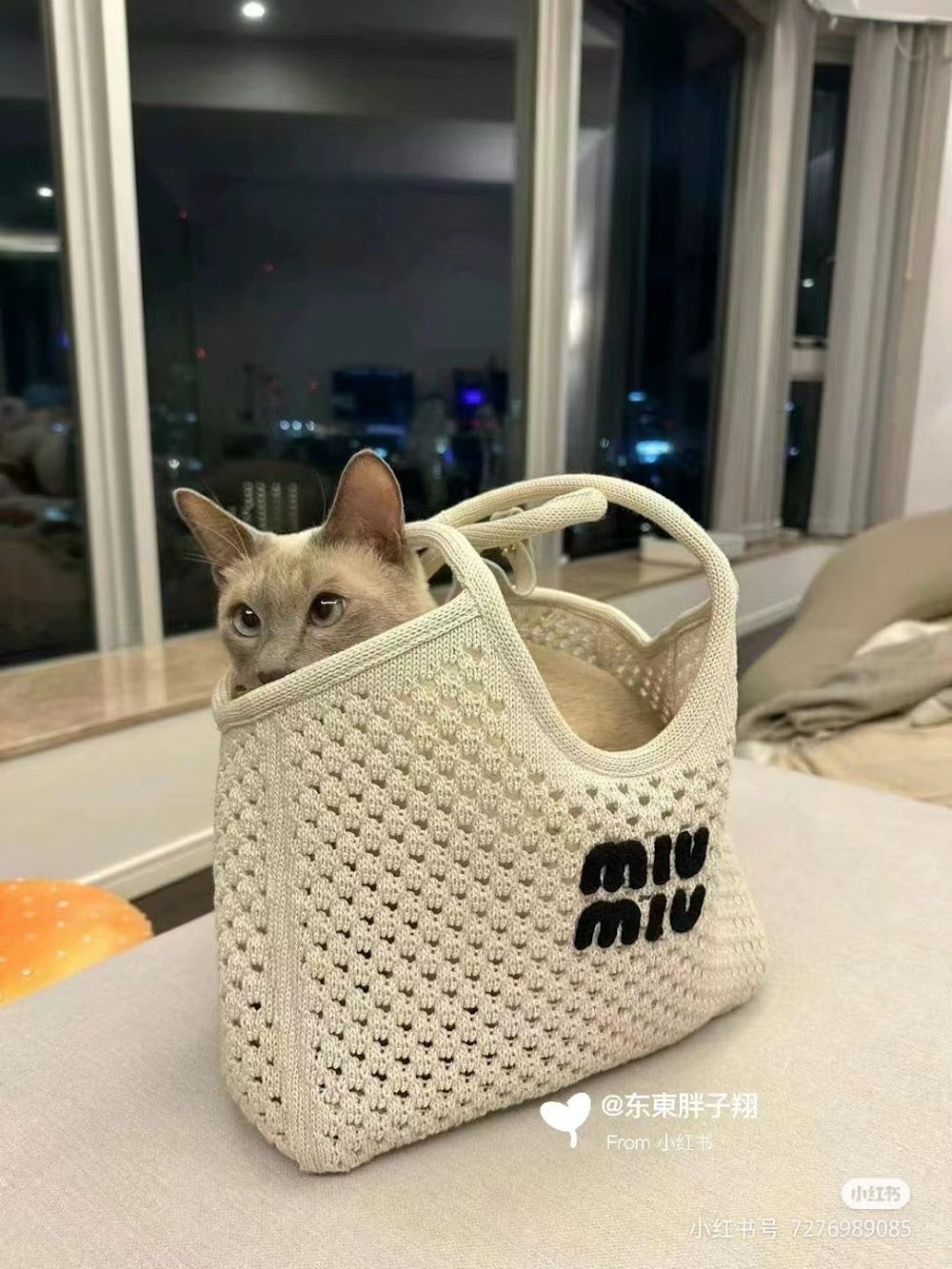 Dragons Bags Miun Miun Luxury Bag --122968