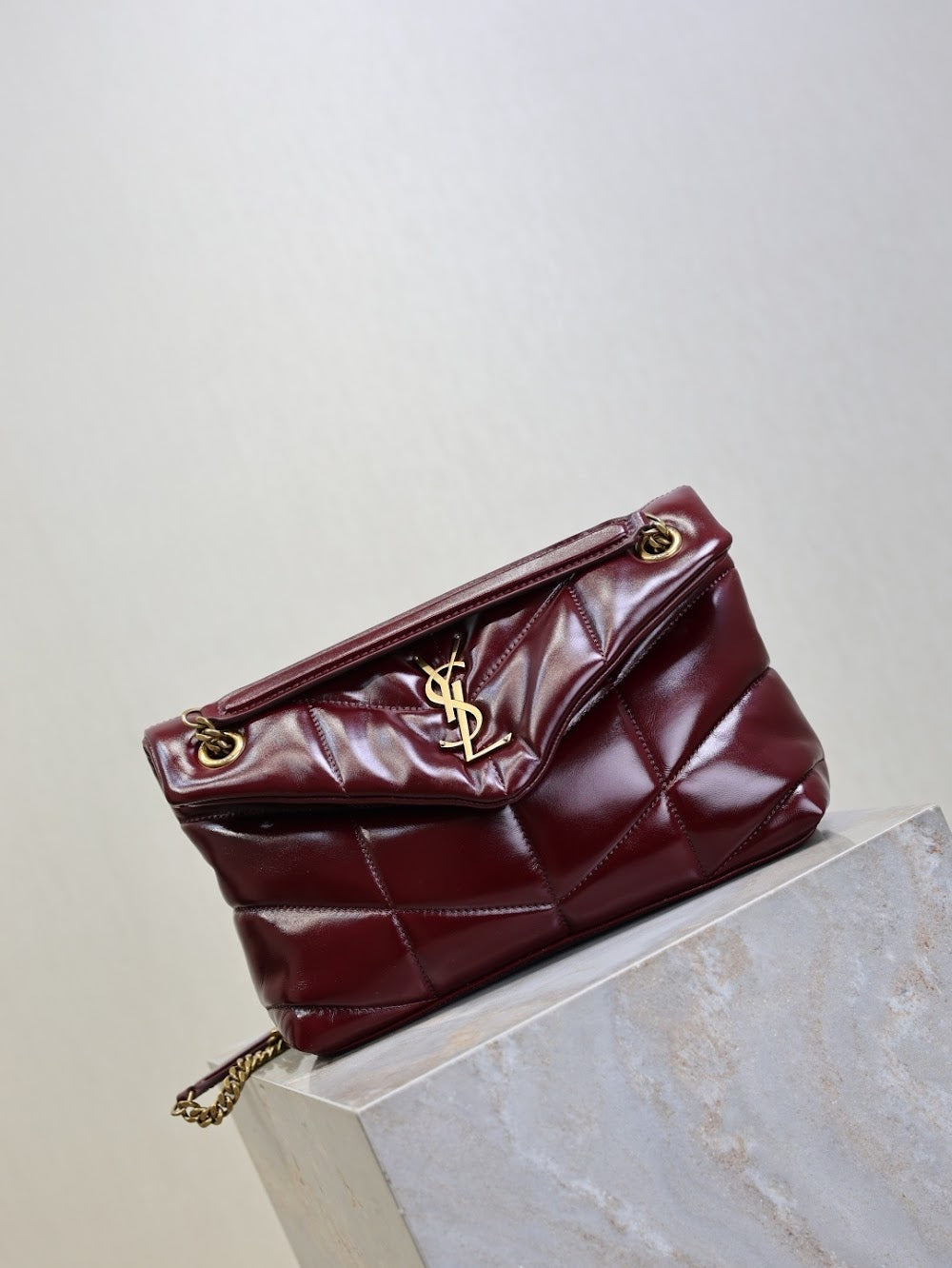 Dragons Bags YSLn Luxury Bag --119719