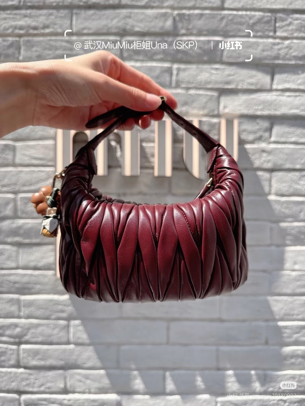 Dragons Bags Miun Miun Luxury Bag --123708