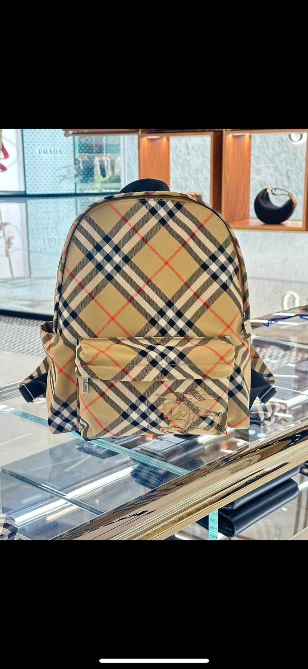 Dragons Bags Burberryn Luxury Bag --93120