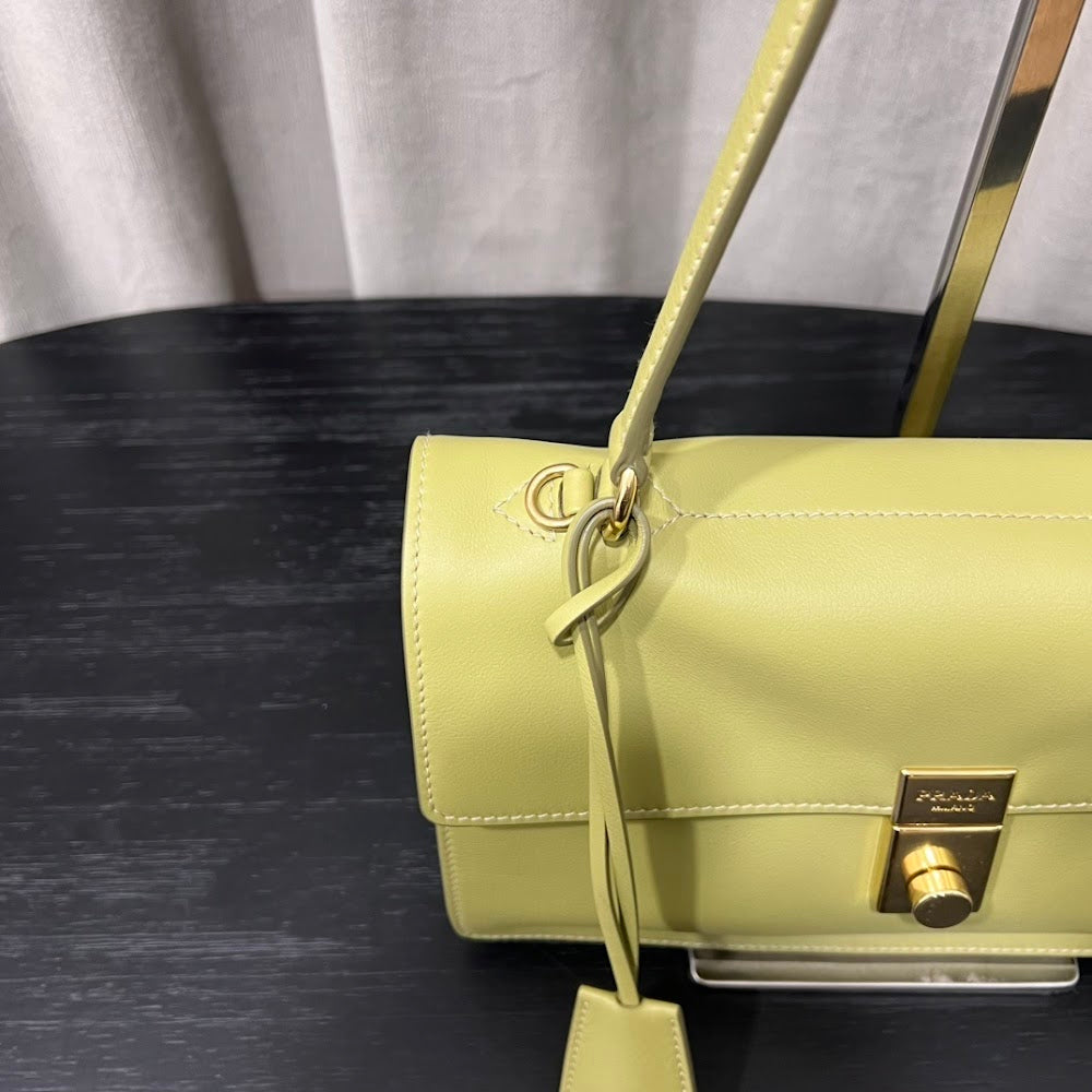 Dragons Bags Pradn Luxury Bag --101810