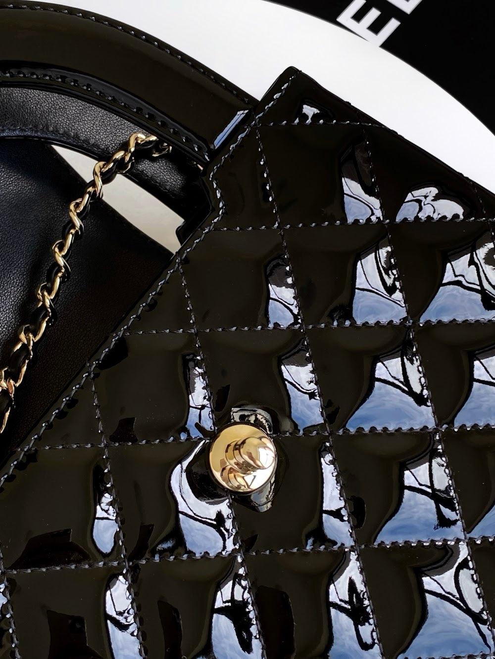 Dragons BagsCHn Luxury Bag --114079