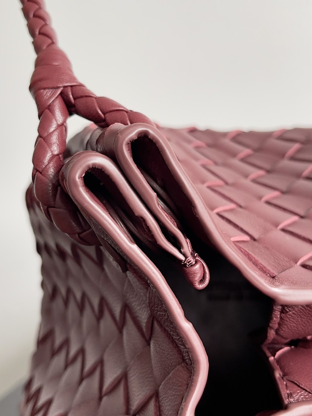 Dragons Bags Bottegan Luxury Bag --90956