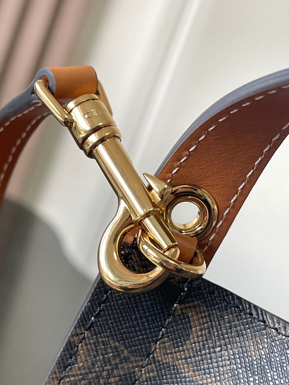 Dragons Bags Celine Luxury Bag --112646