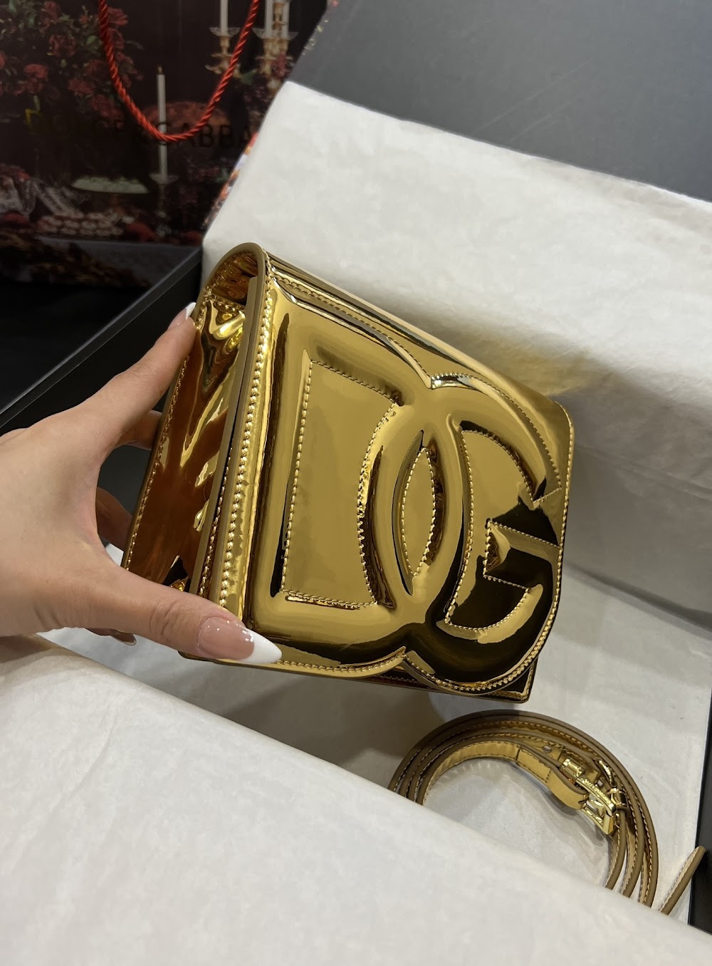 Dragons Bags DGn Luxury Bag --93869