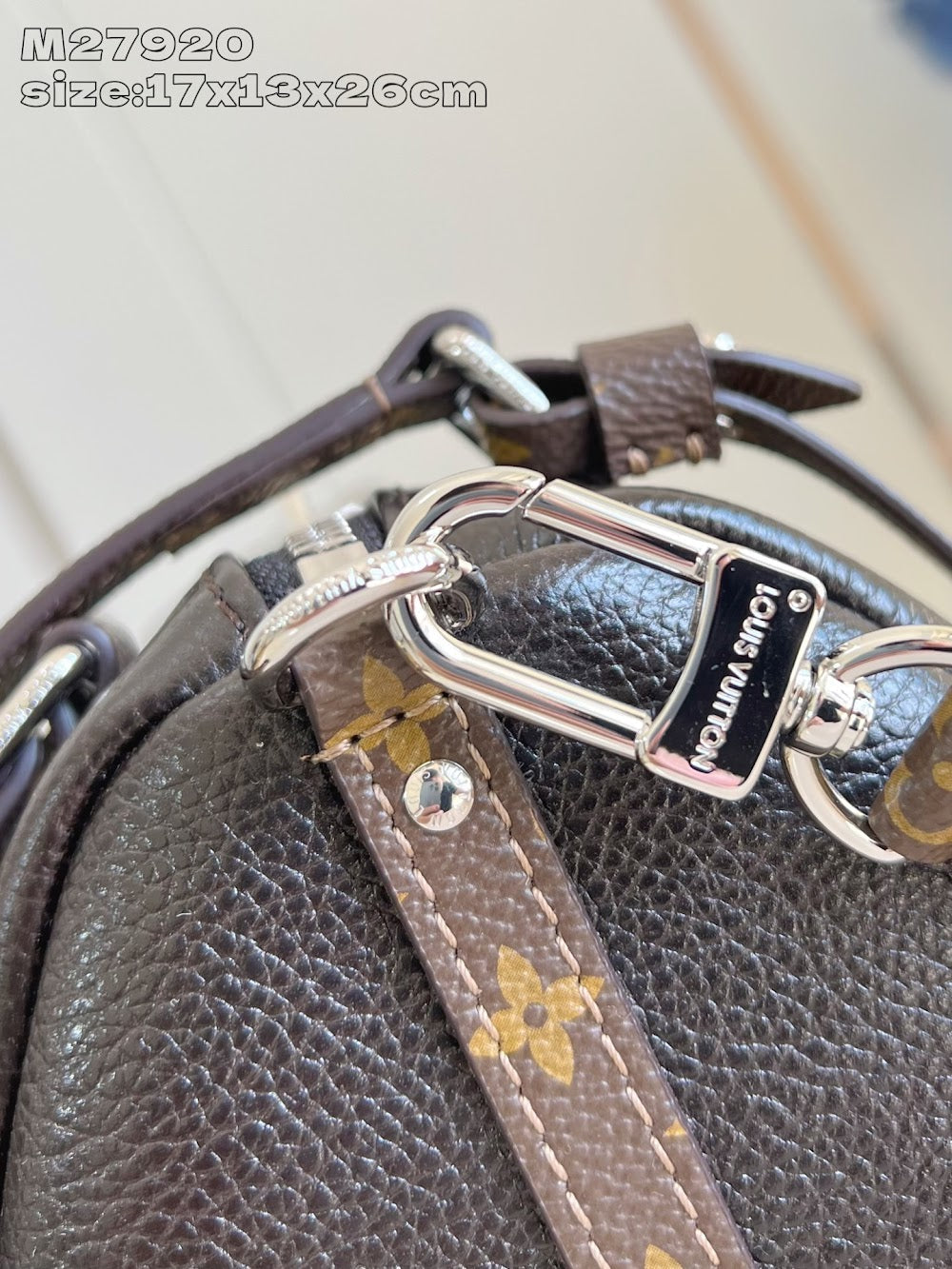 Dragons Bags ln Luxury Bag --95837