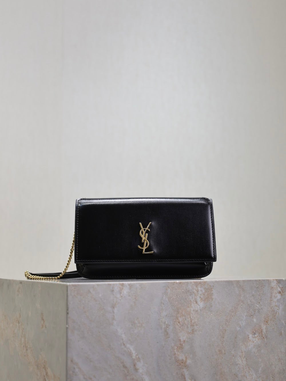 Dragons Bags YSLn Luxury Bag --120480