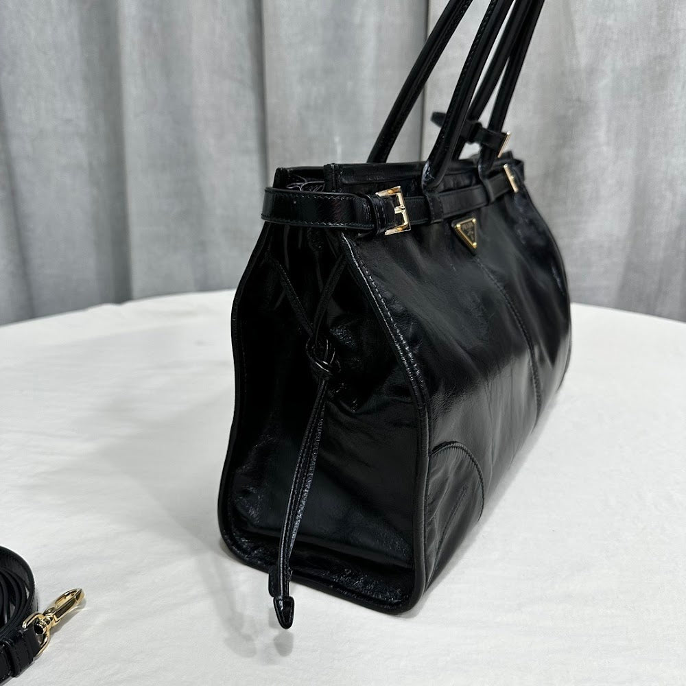 Dragons Bags Pradn Luxury Bag --102010