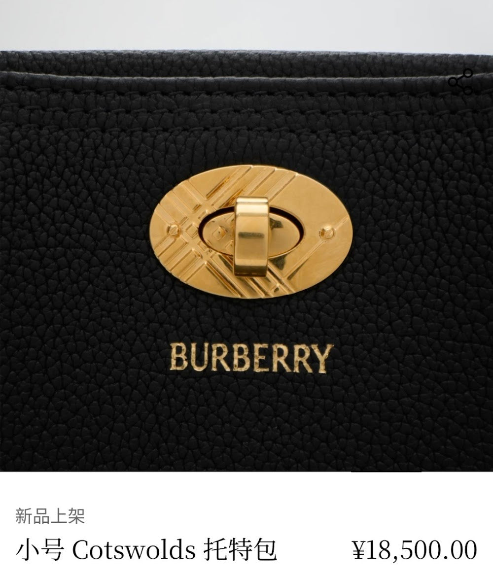 Dragons Bags Burberryn Luxury Bag --92524