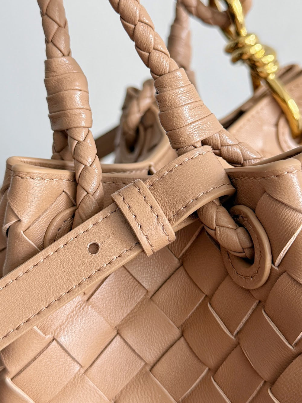 Dragons Bags Bottegan Luxury Bag --91118