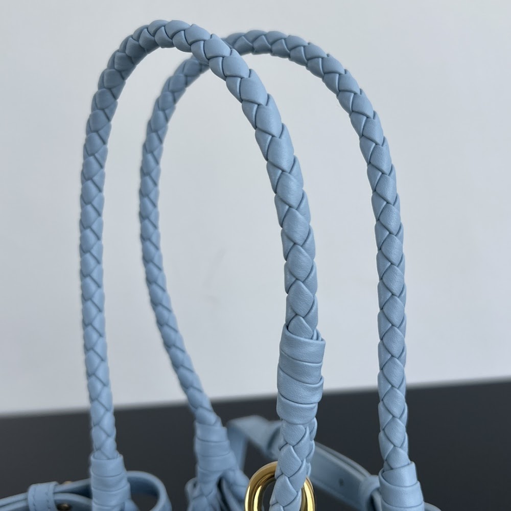Dragons Bags Bottegan Luxury Bag --91272