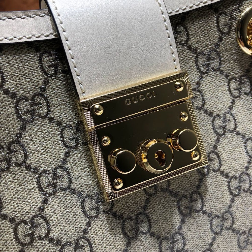 Dragons Bags Guccin Luxury Bag --95489