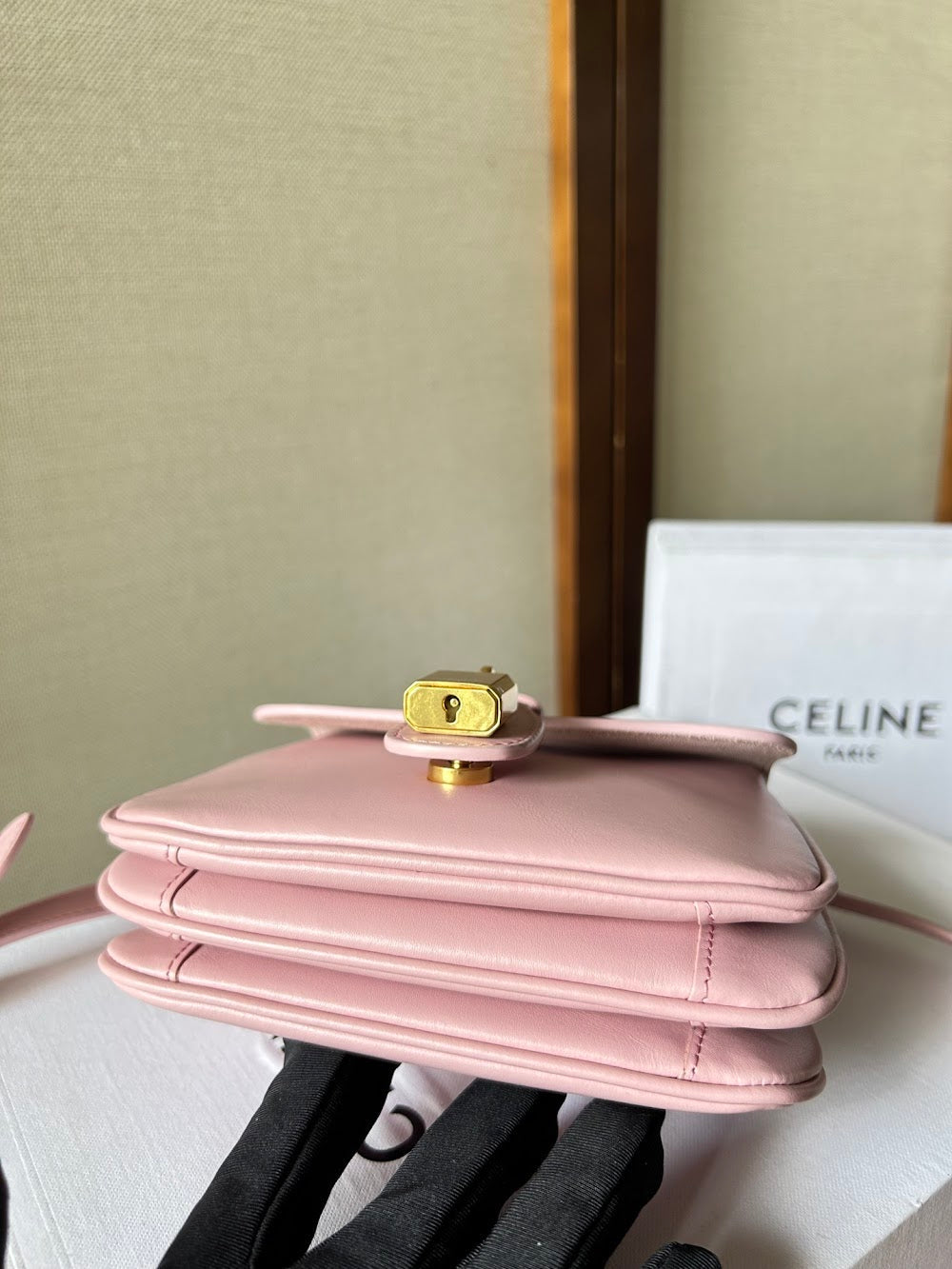 Dragons Bags Celine Luxury Bag --112517