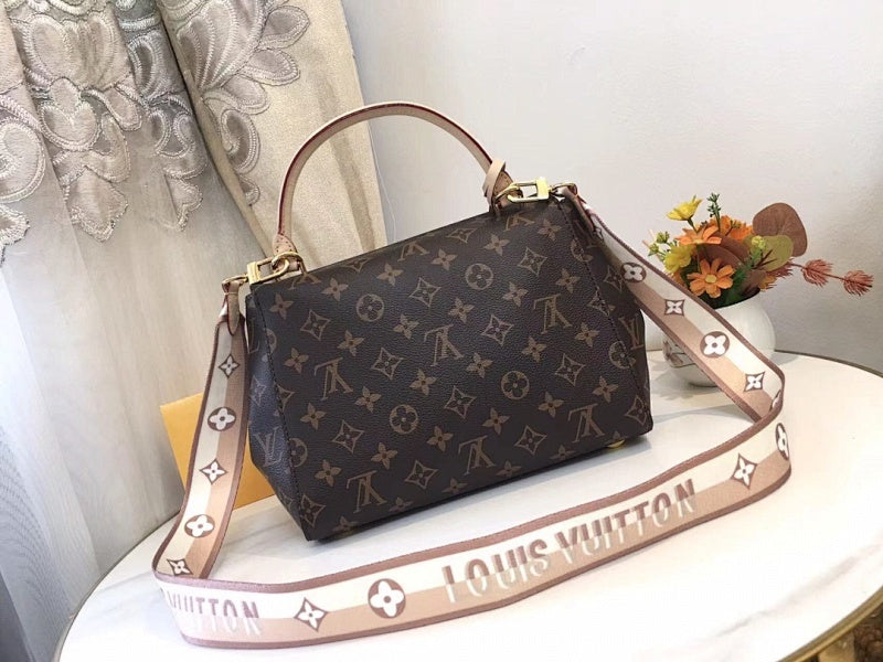 Dragons Bags LVn Luxury Bag --81184