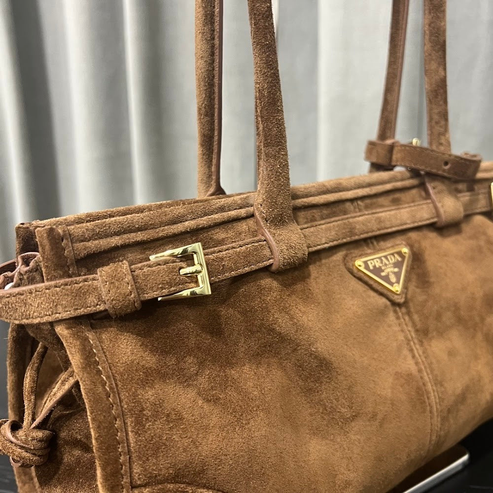 Dragons Bags Pradn Luxury Bag --102012